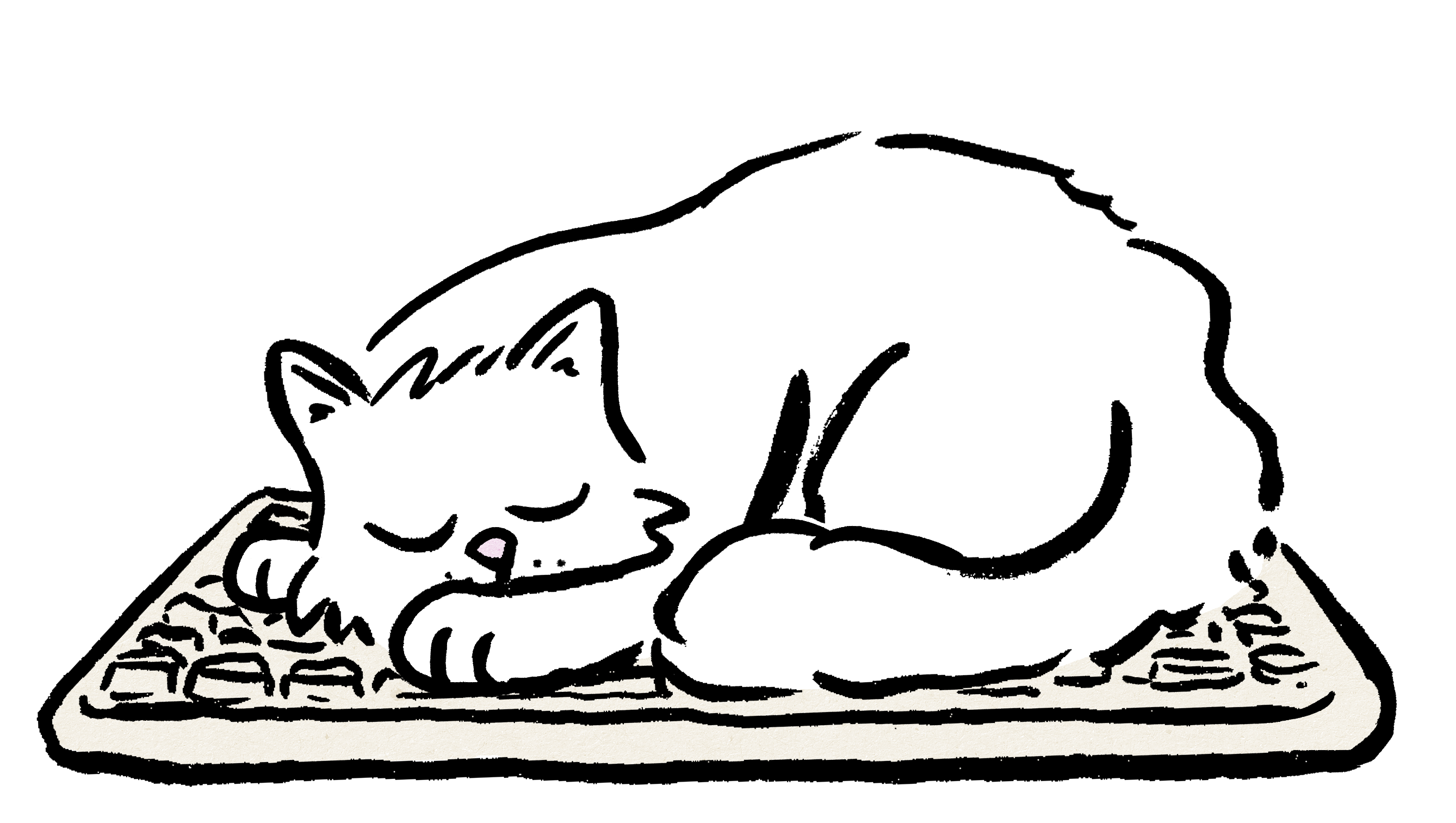 Cat sleeping on a keyboard